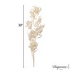 Uniquewise Preserved Real Floral Stems Chic Vase Fillers & Accents for Bouquets Centerpieces - 3 of 4
