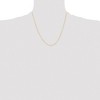 Chisel Gold-tone Brass 1.70mm Plated 20" Rolo Chain Necklace - 4 of 4