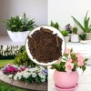 Soil Sunrise Premium Hardwood Mulch for Houseplants; Shredded Wood Mulch for Indoor / Outdoor Container Gardening - 4 of 4