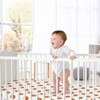 Sweet Jojo Designs Boy Baby Fitted Crib Sheet Watercolor Sports Theme Orange and White - 2 of 4