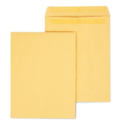HITOUCH BUSINESS SERVICES Self Seal Catalog Envelopes 9.5"L x 12.5"H Brown 100/Box SPL381962