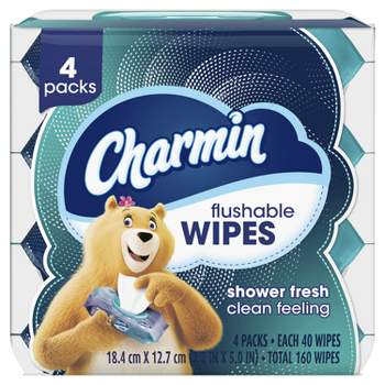 Charmin Flushable Wipes - 4pk/40ct