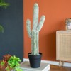 DSVIMOY Artificial Saguaro Cactus in Black Pot, Faux Cacti Plants for Home Garden Office Store Decoration, Green, 8"*5"*24.5" - 2 of 4
