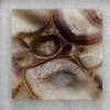 Fisfet 23.6x23.6" Remi Agate Shadow Box Wall Art - 4 of 4