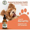 Essiac for Pets USDA Organic Daily Drops | Alcohol Free Concentrated Herbal Formula for Dogs & Cats | Immune & Detox Support, 2oz - 4 of 4