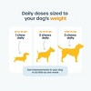 PetFriendly Mobility Hip & Joint Supplement for Dogs - 4 of 4