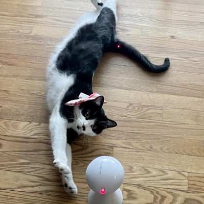 Best automatic outlet laser cat toy