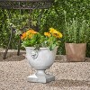 Syemin Planter, Antique Urn Style Planter, Elegant Decorative Flower Pot for Garden, Patio, Porch, Black, 12.75"*12.75"*13" - 4 of 4