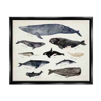 Stupell Industries Vintage Nautical Chart of Whales Ocean Life