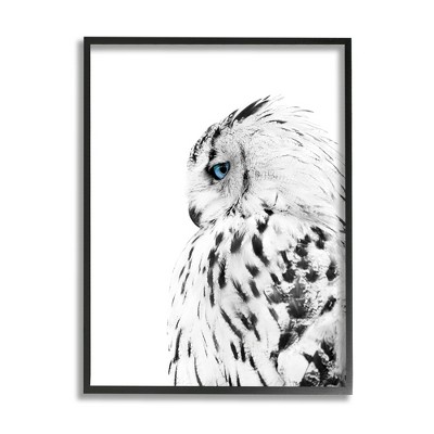 Stupell Industries Snow Owl White Feathers Peering Blue Eyes