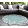 Liora Manne Capri Coastal Indoor/Outdoor Rug.. - 2 of 4