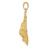 Black Bow Jewelry 14k Yellow Gold Large Lion's Head Pendant - 2 of 4