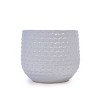 Set of 3 Modern Round Ceramic Planter Pots with Drainage Hole, Matte Ceramic Flower Pots for Windowsills, Patio, or Garden–The Pop Home - 3 of 4