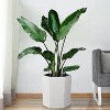 16 Inch Tall Planters Set of 2, Indoor Plants with Water Level Monitor & Drainage Hole & Wheels, Large Planter Pots for Patio, Porch - 3 of 4