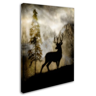 Trademark Fine Art - LightBoxJournal Mystic Deer Matted Framed Art