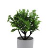 Unique Bargains Artificial Plants Coin Chrysanthemum with Cylinder Vase Plastic 3.15"x3.15"x9.45" 1 Pc - 4 of 4