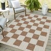 Playa Rug Daisy Rectangle Woven Indoor Outdoor Rugs - image 4 of 4