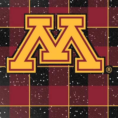 minnesota golden gophers