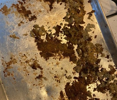 Guest review image 2 of 2, zoom in