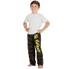 Intimo Harry Potter Boys Houses Plaid Pajama Lounge Pants - 4 of 4