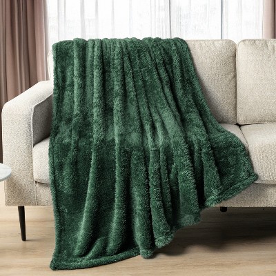 PAVILIA Plush Throw Blanket for Couch Bed, Faux Shearling Blanket and Throw for Sofa Home Decor