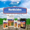 Monterey Grass Getter, Post Emergence Herbicide for Grass Weeds, 8 oz - 3 of 4