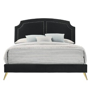 Zeena 86" Queen Bed Black Velvet - Acme Furniture: Chic Gold Nailhead, No Box Spring Required - 1 of 4