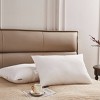 Farm To Home 100% Organic Cotton Down Alternative 2pc Bed Pillow - 3 of 4