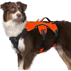 rabbitgoo Escape Proof Dog Harness, Soft Padded Full Body Pet Harness, Reflective Adjustable Walking Hiking Training, M, Orange - 1 of 1