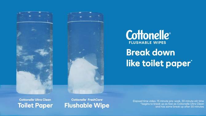 Cottonelle GentlePlus Flushable Wipes, 2 of 13, play video