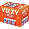 Vizzy Blueberry Pomegranate - 12pk /12 fl oz Cans - 3 of 4