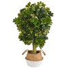 Nearly Natural 4-ft Schefflera Artificial Tree in Boho Chic Handmade Cotton & Jute White Woven Planter (Real Touch) - 2 of 4