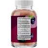 Iron Gummies with VIT C and B Complex for Adults, Multivitamin Supplement for Iron Deficiency, Energy, & Mental Clarity, Grape Flavor, Phytoral, 60ct - 2 of 4
