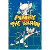 Trends International Pinky And The Brain - Key Art Unframed Wall Poster Prints - 4 of 4