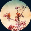 Boy's Design By Humans Bullfinch eat rowan By AnnArtshock T-Shirt - 2 of 3