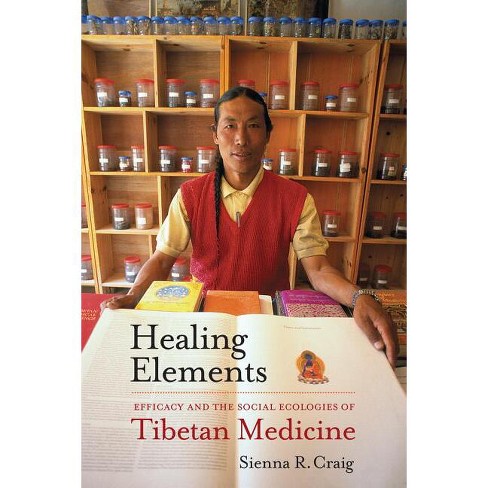 Healing Elements - by  Sienna R Craig (Paperback) - image 1 of 1