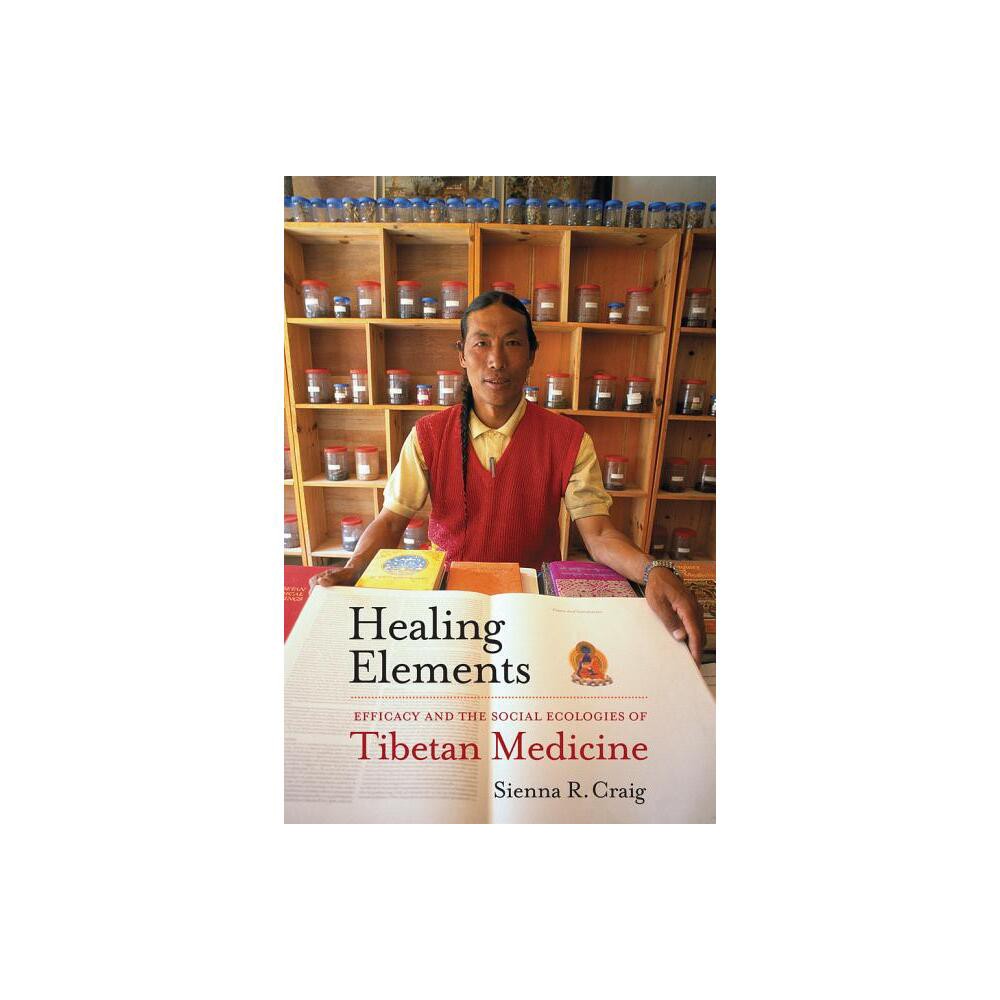 Healing Elements - by Sienna R Craig (Paperback)