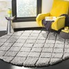 Adriana Shag ARG780 Power Loomed Indoor Rug - Safavieh - 2 of 3