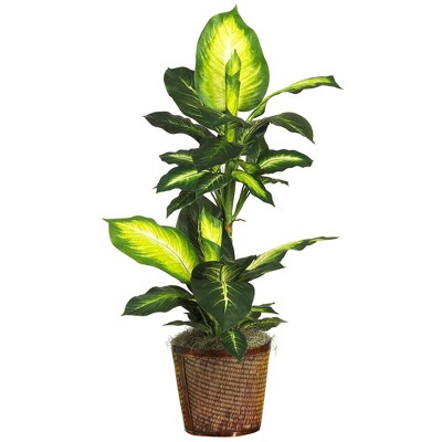 Nearly Natural 42-in Golden Dieffenbachia w/Basket Silk Plant"