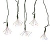 Kurt Adler 75-Light Cluster Lights and Multi-Color Twinkle LED Lights with Green Wire - 2 of 4