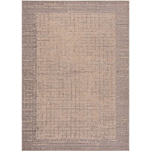Sisal Performance SPF102 Power Loomed UV Resistant,Stain Resistant, Non-Shedding Indoor/Outdoor Rugs - Safavieh - 1 of 4