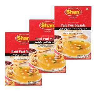 Shan - Pani Puri Seasoning Mix 3.52 oz (100g) - Spice Powder for Spicy Digestive Drink - 1 of 4