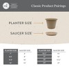 The HC Companies 15.5 Inch Round Classic Planter - Plastic Plant Pot for Indoor Outdoor Plants Flowers Herbs, Seafoam - 3 of 4