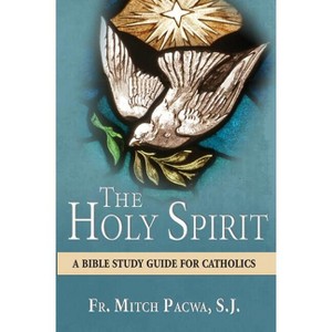 The Holy Spirit - by  Mitch Pacwa (Paperback) - 1 of 1