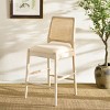 Reinhardt Rattan Counter Stool - BST8800 - Safavieh - 3 of 4