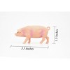 Collectible Wildlife Gifts | Pig, Swine, Domestic, Hog, Very Realistic Rubber Reproduction, Hand Painted Figurines     3.5"      CH147 B246 - 3 of 4