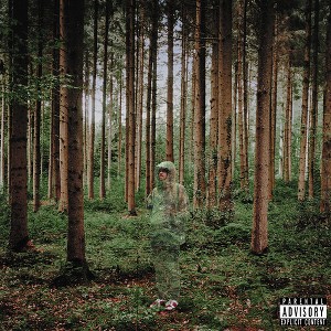 Grandson - I Love You I'm Trying (Vinyl) - 1 of 1