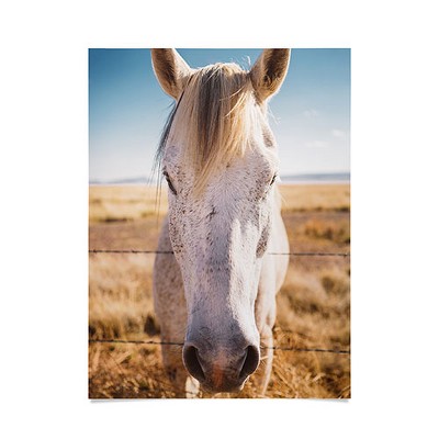 Bethany Young Photography West Texas Wild Poster- 18" x 24" - Society6