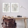 Stupell Industries Delicate Wildflower Herb Sprigs 2pc Framed Giclee Art Set - 2 of 4