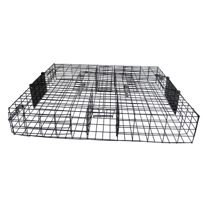 Rugged Ranch SQR Squirrelinator Live Chipmunk Squirrel Rat Mouse Rodent Small Animal Metal Wire 2 Door Trap Cage, Black